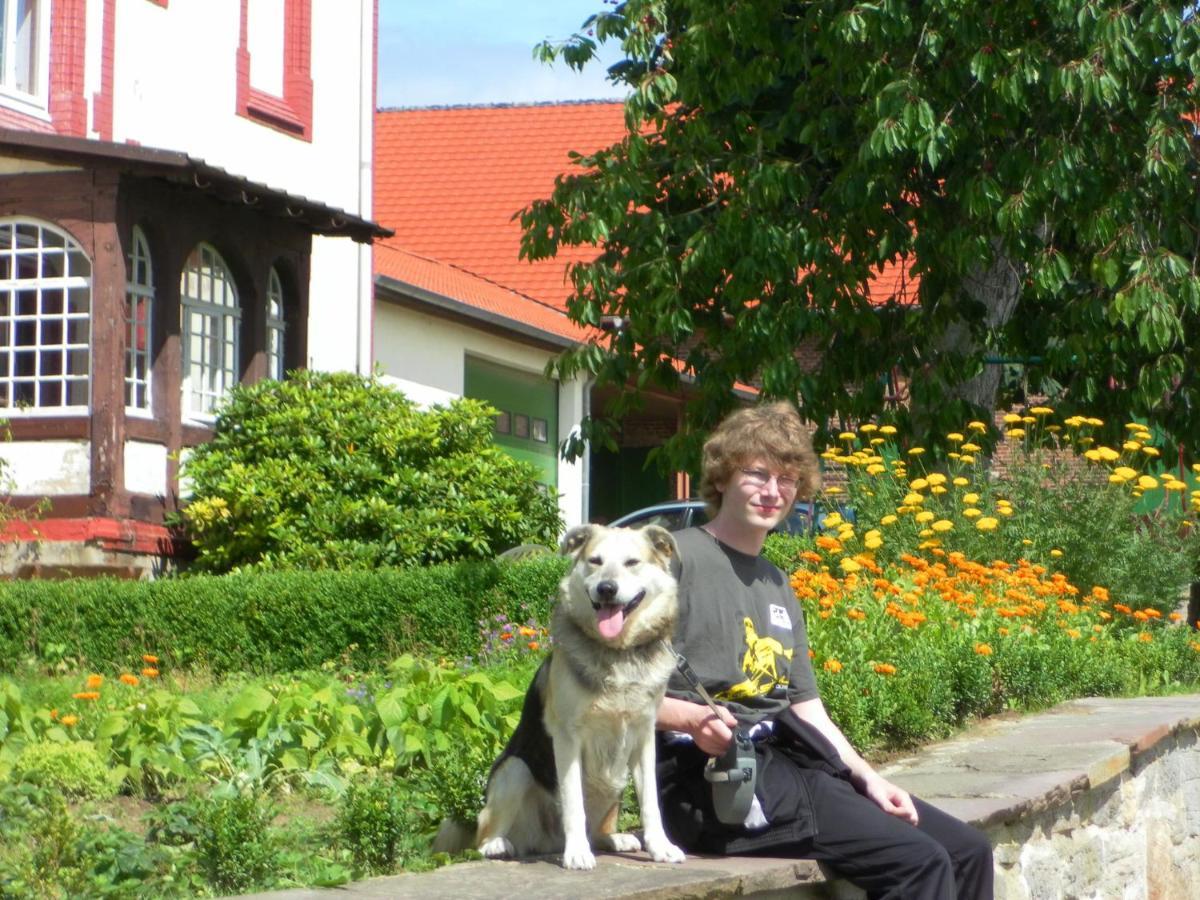 Cosy Flat On A Family Friendly Holiday Farm In Northern Hesse Trendelburg Экстерьер фото